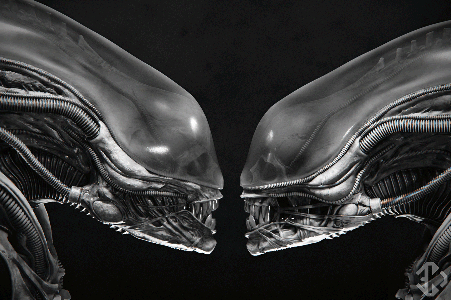 BIG CHAP DX limited edition