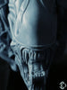 Alien Warrior WallHead