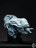 Alien Warrior WallHead
