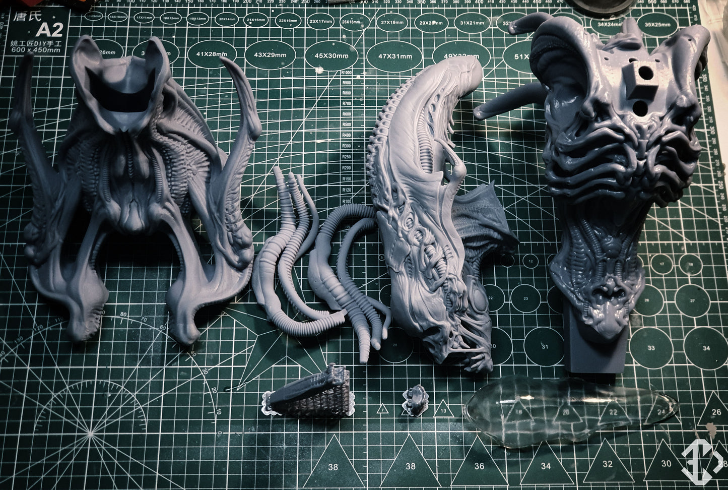Xenom X Bust